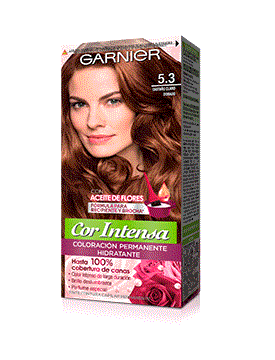 Cor Intensa_53 castao claro dorado_Packshot_275x360